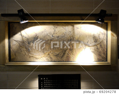 黄果樹奇石館 黄果樹奇石館 69204278