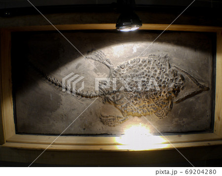 黄果樹奇石館 黄果樹奇石館 69204280