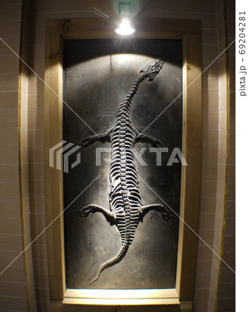 黄果樹奇石館 69204281