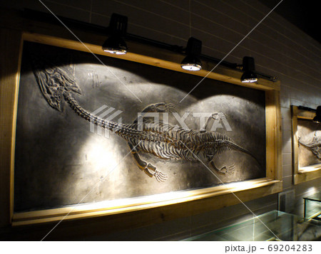 黄果樹奇石館 69204283