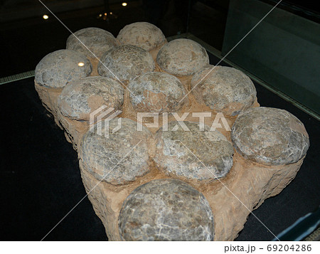 黄果樹奇石館 黄果樹奇石館 69204286