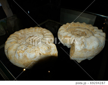 黄果樹奇石館 69204287