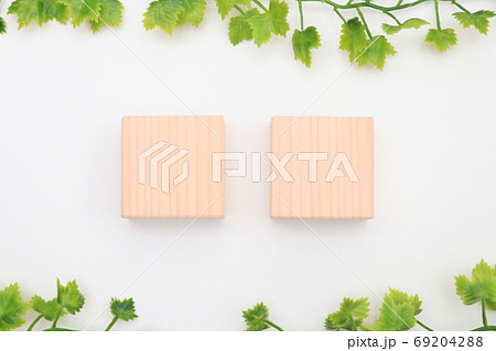 四角形のヒノキのブロックと新緑 テキストスペース コピースペース 四角形のヒノキのブロックと新緑 テキストスペース コピースペース 69204288