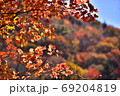 秋の色 69204819