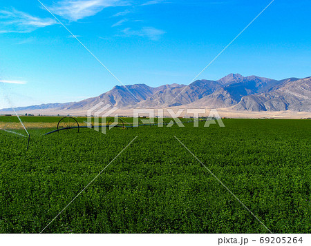 米アイダホ州アルコ郊外のセンターピボット 69205264