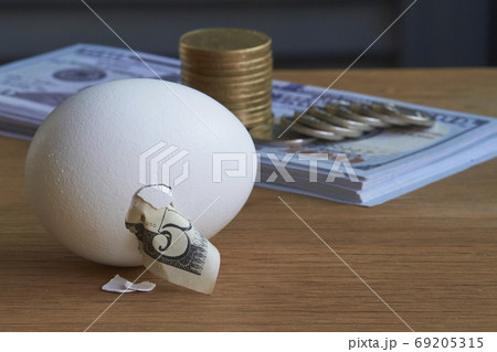 Five dollar bill hatching from egg and a stack of hundred dollar bills and coins on natural background, selective focus 69205315