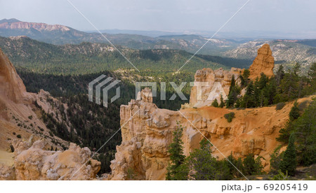 Panorama of summer landscape in Zion Canyon, Utah, USA. 69205419