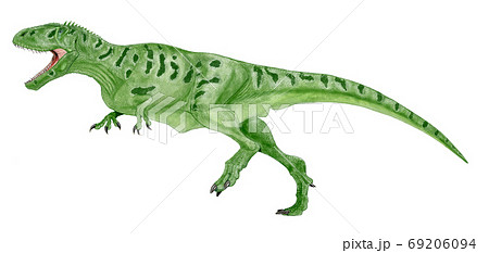 カルカロドントサウルス　サメの歯を持つトカゲ　白亜紀前期の大型獣脚類。史上最大級の肉食恐竜。 69206094