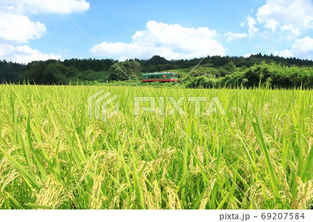 真岡鐵道「晩夏初秋の美しき田園風景と単行列車」 真岡鐵道「晩夏初秋の美しき田園風景と単行列車」 69207584