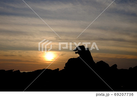 ゴジラ岩と日の入り【風景写真】 69207736