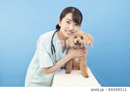 舌を出して微笑むトイプードルと女性獣医師 69208311