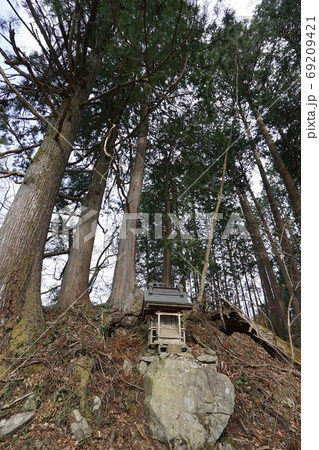 川苔山　山林　登山　登山道　登山口　稲荷 69209421