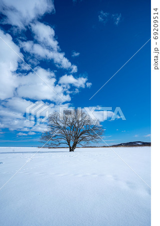 青い空と白い雪の大地 青い空と白い雪の大地 69209514