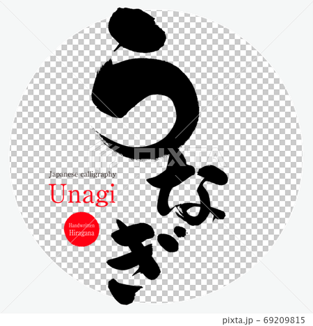 うなぎ Unagi 筆文字 手書き のイラスト素材