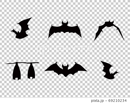 Bat Silhouette Illustration Flying Dangling Stock Illustration