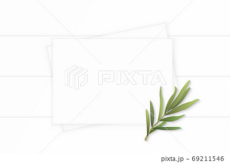 Flat lay top view elegant white composition paper plant tarragon Flat lay top view elegant white composition paper plant tarragon 69211546