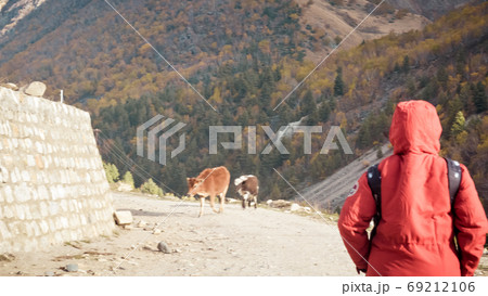solo traveler in red jacket on a road trip walking alone in dirt road surrounded by mountain solo traveler in red jacket on a road trip walking alone in dirt road surrounded by mountain 69212106