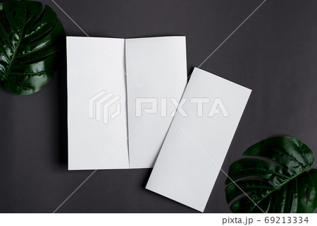 Paper mock-up brochures with natural tropical palm leaf. Paper mock-up brochures with natural tropical palm leaf. 69213334