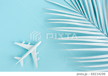 White model plane, airplane and palm leaf on blue background. Top view, flat lay.  69214299