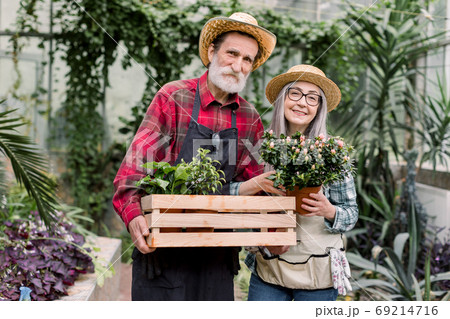 Portrait of happy cheerful lovely retired couple in straw hats and checkered shirts, posing in beautiful hothouse, holding decorative flowerpots, smiling to camera. Senior couple of gardeners Portrait of happy cheerful lovely retired couple in straw hats and checkered shirts, posing in beautiful hothouse, holding decorative flowerpots, smiling to camera. Senior couple of gardeners 69214716