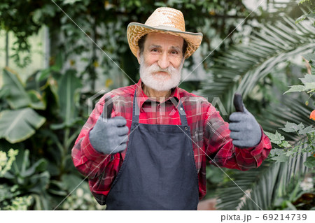 Close up portrait of positive cheerful elderly male gardener in straw hat and workwear with apron, standing in the hot house with exotic plants and palm trees, and showing thumbs up 69214739