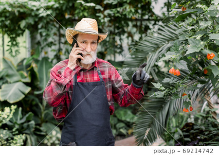 Gardening concept, work in hothouse. Handsome bearded senior man gardener, wearing working clothes and hat, posing in greenhouse, while talking on his phone with clients Gardening concept, work in hothouse. Handsome bearded senior man gardener, wearing working clothes and hat, posing in greenhouse, while talking on his phone with clients 69214742