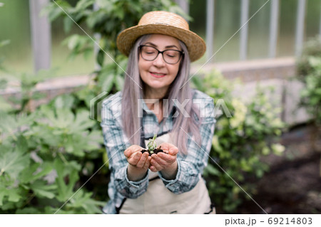 Close up of smiling charming senior woman gardener in straw hat, shirt and apron, holding young plant succulent in soil in her hands. Elderly lady looking at plant in greenhouse, focus on hands Close up of smiling charming senior woman gardener in straw hat, shirt and apron, holding young plant succulent in soil in her hands. Elderly lady looking at plant in greenhouse, focus on hands 69214803