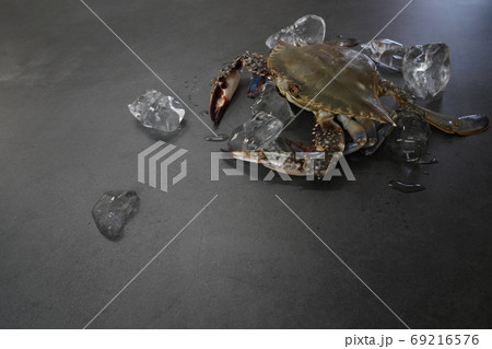 ワタリガニ 材料 食材 69216576