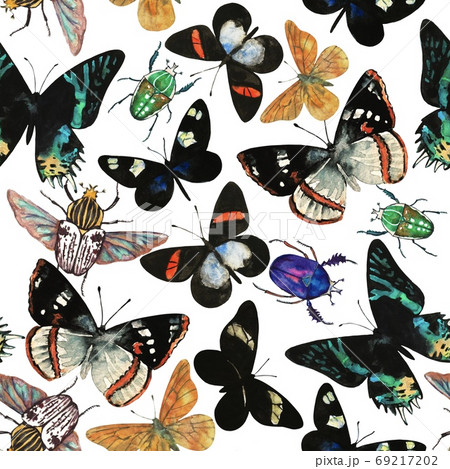 Watercolor seamless pattern with amazing tropical exotic butterflies and beetles.  69217202