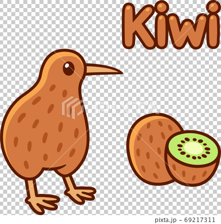 Kiwi bird drawing by Elijah McGrath (12yo) from Nelson – Kiwi Conservation  Club