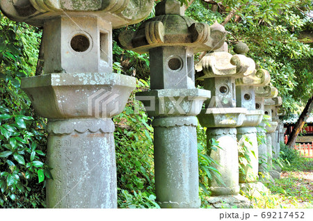 石灯籠の参道 石灯籠の参道 69217452
