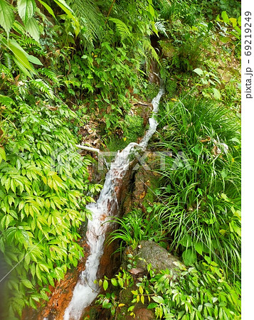 湧き水 緑の道 湧き水 緑の道 69219249