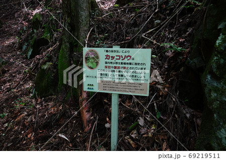 群馬県ぐんま百名山 桐生市の鳴神山 川内駒形登山口付近のハイキング道路 群馬県ぐんま百名山 桐生市の鳴神山 川内駒形登山口付近のハイキング道路 69219511