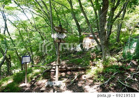 群馬県ぐんま百名山 桐生市の鳴神山 山頂下の肩の広場 群馬県ぐんま百名山 桐生市の鳴神山 山頂下の肩の広場 69219513