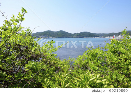 風景 とう 芽 69219890