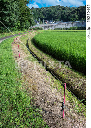 イノシシ対策の電気柵　夏の農村で害獣防除　島根　松江 69220446