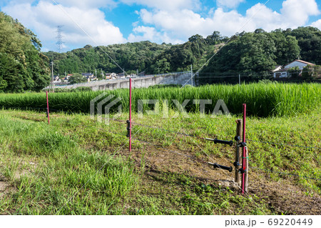 イノシシ対策の電気柵 夏の農村で害獣防除 島根 松江の写真素材 イノシシ対策の電気柵 夏の農村で害獣防除 島根 松江の写真素材