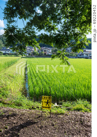 イノシシ対策の電気柵　夏の農村で害獣防除　島根　松江 69220452