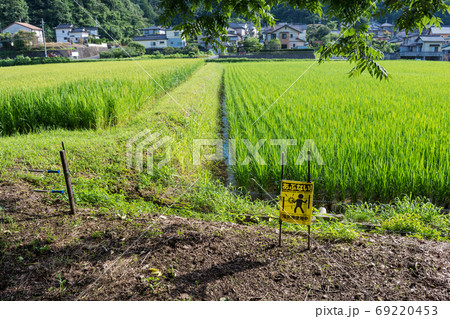 イノシシ対策の電気柵　夏の農村で害獣防除　島根　松江 69220453