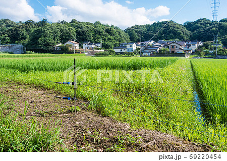 イノシシ対策の電気柵　夏の農村で害獣防除　島根　松江 69220454