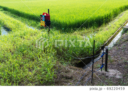 イノシシ対策の電気柵 夏の農村で害獣防除 島根 松江 イノシシ対策の電気柵 夏の農村で害獣防除 島根 松江 69220459