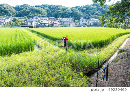 イノシシ対策の電気柵 夏の農村で害獣防除 島根 松江の写真素材 イノシシ対策の電気柵 夏の農村で害獣防除 島根 松江の写真素材