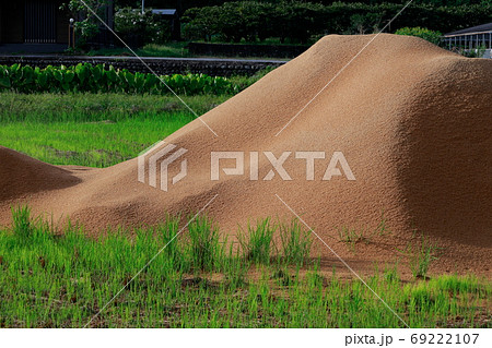 籾殻 69222107
