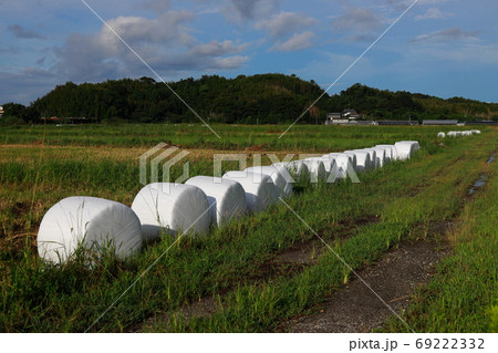 藁ロール 69222332