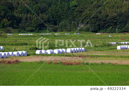 藁ロール 69222334