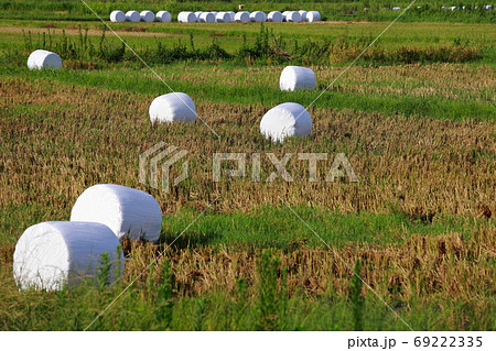 藁ロール 69222335