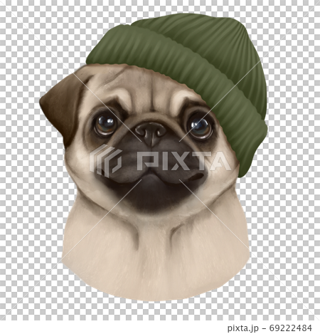 pugs beanies