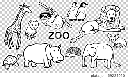 動物材料帶有白色邊框 動物材料帶有白色邊框 69223030