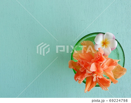 ガラスボウルに活けた花 69224798