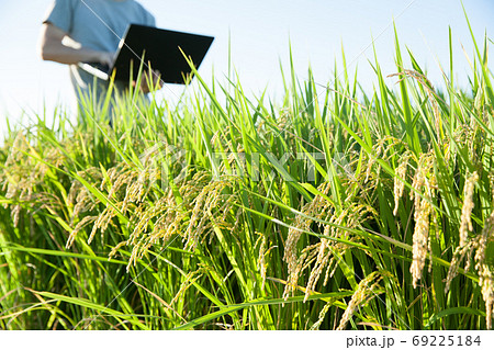 パソコンで水田を管理する農家 パソコンで水田を管理する農家 69225184